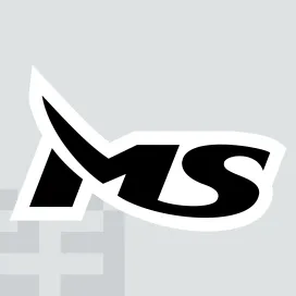 Ms Industrial